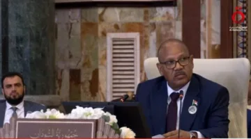 عضو المجلس السيادي السوداني: منطقتنا تواجه صعوبات كبيرة.. والحرب في بلادنا سببها مليشيا الدعم السريع