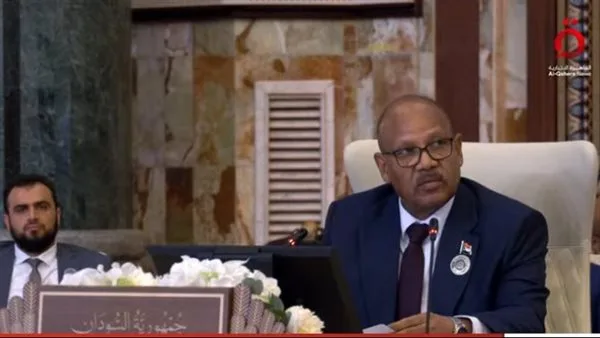 عضو المجلس السيادي السوداني: منطقتنا تواجه صعوبات كبيرة.. والحرب في بلادنا سببها مليشيا الدعم السريع عضو المجلس السيادي السوداني: منطقتنا تواجه صعوبات كبيرة.. والحرب في بلادنا سببها مليشيا الدعم السريع