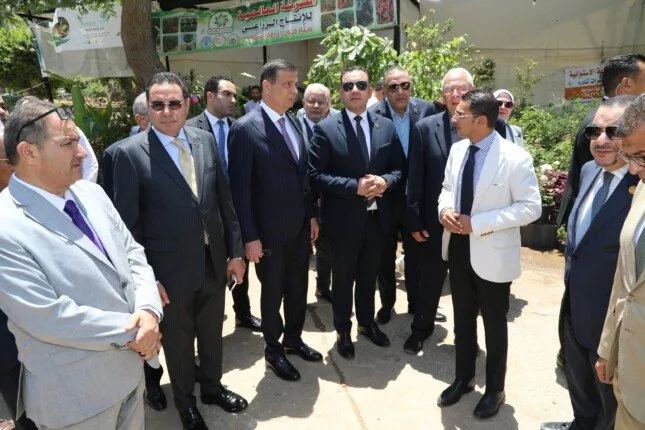 علاء فاروق: المتحف الزراعي يبرز دور مصر الرائد عبر العصور علاء فاروق: المتحف الزراعي يبرز دور مصر الرائد عبر العصور