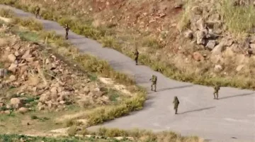 علم إسرائيل في جنوب لبنان! (صورة)