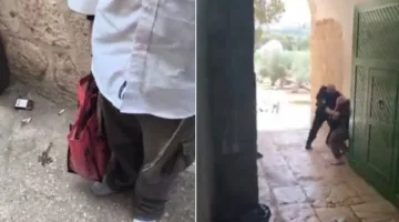 “علماء فلسطين”: محاولة ذبح قربان في الأقصى تعد انتهاكًا خطيرًا لقدسية المسجد الشريف