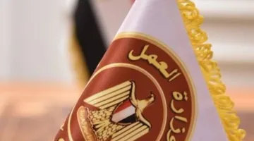 وظائف: 5242 فرصة جديدة للشباب في 50 شركة خاصة عبر 8 محافظات