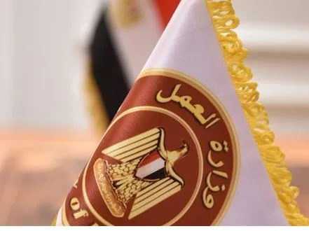 وظائف: 5242 فرصة جديدة للشباب في 50 شركة خاصة عبر 8 محافظات وظائف: 5242 فرصة جديدة للشباب في 50 شركة خاصة عبر 8 محافظات