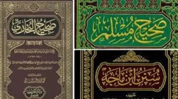 علي جمعة: من يرفضون السنة النبوية يجهلون صحيح البخاري