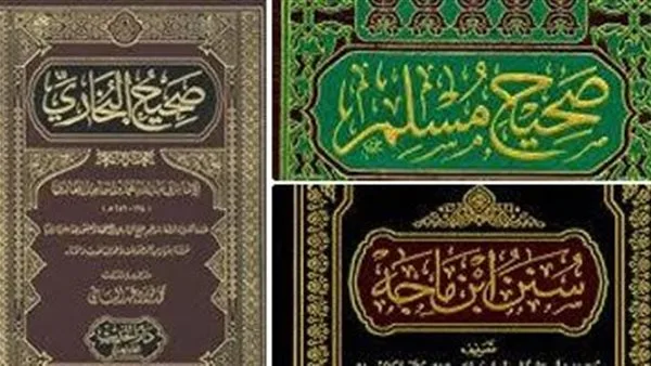 علي جمعة: من يرفضون السنة النبوية يجهلون صحيح البخاري
