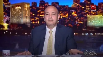 عمرو أديب: يجب أن تحصل مصر على جائزة نوبل في مجال إغاثة اللاجئين، ويتعين على الحكومة أن تنال اعترافها.