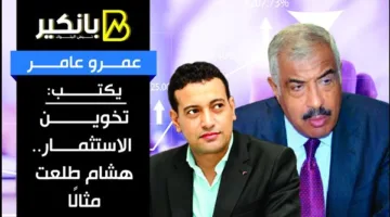 عمرو عامر يكتب: انتقاد الاستثمار.. حالة هشام طلعت كنموذج