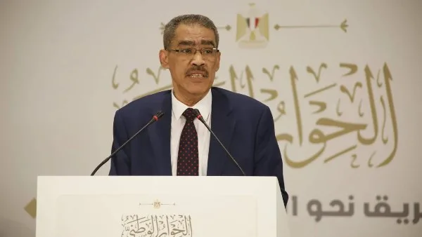 عنف هيكلي.. ضياء رشوان يفضح مخططا استخدمته الجماعة الإرهابية في مصر