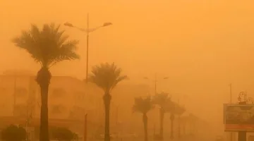 عواصف رملية وسحب رعدية: توقعات الطقس اليوم الأحد 20-11-1446 في المملكة