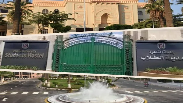 عودة التنسيق إلي جامعة القاهرة خطوة نحو الريادة من جديد عودة التنسيق إلي جامعة القاهرة خطوة نحو الريادة من جديد