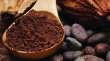 غانا تعين هيئة جديدة للإشراف على صناعة الكاكاو