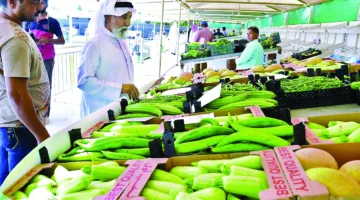 غداً.. اليوم الأخير لنشاط أسواق المنتجات الزراعية