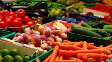غرفة الصناعات الغذائية تستعرض صعوبات تعزيز صادرات قطاع الخضروات والفواكه