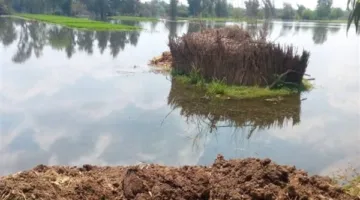 غرق طفل أثناء التجديف في نهر النيل بالحوامدية