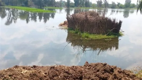 غرق طفل أثناء التجديف في نهر النيل بالحوامدية غرق طفل أثناء التجديف في نهر النيل بالحوامدية