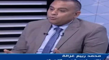 غزالة: مصر تمثل العائق الوحيد أمام المخطط الإسرائيلي في المنطقة