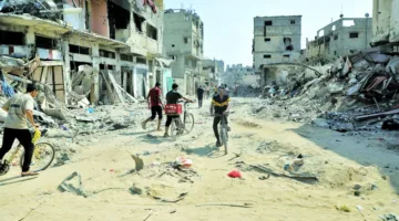 منظمة الفاو: 95% من الأراضي الزراعية في غزة فقدت صلاحيتها للاستخدام.