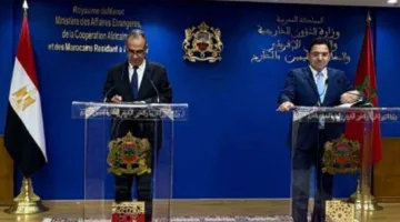 وزير الخارجية يوجه رسالة مكتوبة من الرئيس السيسي إلى ملك المغرب عبر نظيره المغربي
