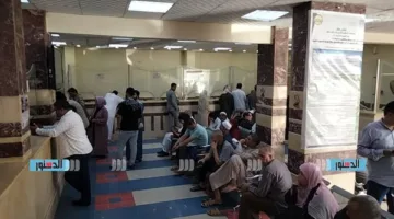 فتح باب التقديم للمواطنين للحصول على تراخيص الشماسي لشواطئ مطروح لصيف 2025