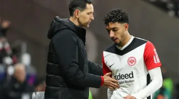 فرانكفورت يمدد اتفاقه مع مدربه توبمولر حتى عام 2028