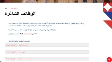 فرص عمل جديدة لأعضاء هيئة التدريس في الجامعة البريطانية بمصر بــ 50 تخصصًا.. تقدّم الآن!