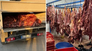 فضيحة جديدة في تركيا: اكتشاف كميات كبيرة من لحوم الحمير والخيول الفاسدة