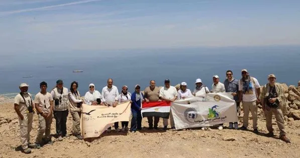 من مرصد الجلالة.. مصر تحتفل باليوم العالمي للطيور المهاجرة