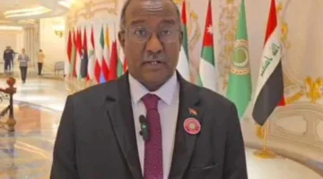 مجلس وزراء الخارجية العرب يوافق على تعزيز السلام والتنمية في السودان