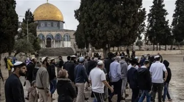 فلسطين تنبه من تداعيات استمرار الهجمات الإسرائيلية واقتحامات الأقصى على المنطقة