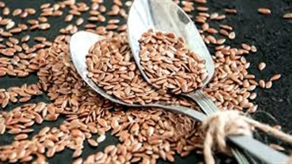 فوائد الأطعمة الغنية بالألياف للجسم: بذور الكتان من أبرزها فوائد الأطعمة الغنية بالألياف للجسم: بذور الكتان من أبرزها