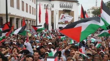 في 79 مدينة مغربية.. تنظيم أكثر من 117 احتجاجًا دعمًا لغزة