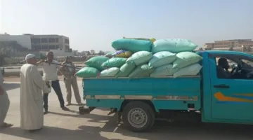 في إطار استراتيجية الدولة لضمان الأمن الغذائي.. البحيرة تزود السوق بأكثر من 261 ألف طن من القمح حتى الآن.