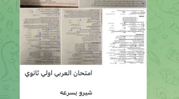 في انطلاق الامتحانات… تسريبات مادة “العربية” تثير قلق الأهالي ووزارة التعليم توضح موقفها