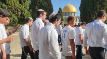 في ذكرى احتلال القدس… مئات المستوطنين المتطرفين يقتحمون المسجد الأقصى ويرفعون العلم الإسرائيلي في ساحاته (صور/فيديو)