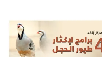 في مركز سعود الفيصل.. تكاثر أربع فئات من طيور الحجل في مواطنها الطبيعية
