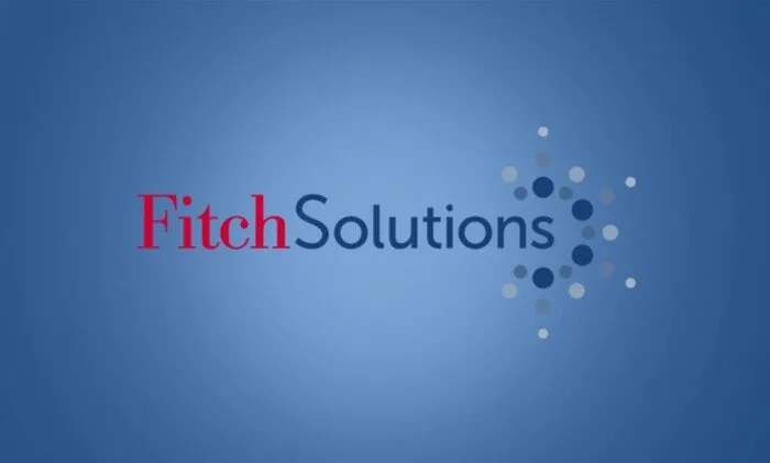 «فيتش سوليوشنز» تتنبأ بزيادة الاقتصاد المصري بمعدل 4.7% في السنة المالية 2026