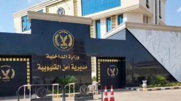 فيديو على فيسبوك يكشف القبض على مطلوب بتهمة الاتجار بالمخدرات في القليوبية