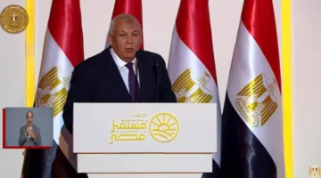 فيديو: محافظ الوادي الجديد يوضح للرئيس الإنجازات الملحوظة في إنتاج القمح بالمحافظة
