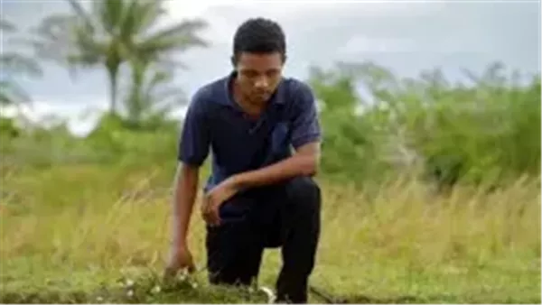 فيلم “ديسكو أفريقيا: قصة مدغشقر” في نادي السينما الأفريقية.. الليلة