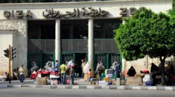 «قبل أم بعد عيد الأضحى 2025»: تاريخ افتتاح حديقة الحيوان وأسعار التذاكر