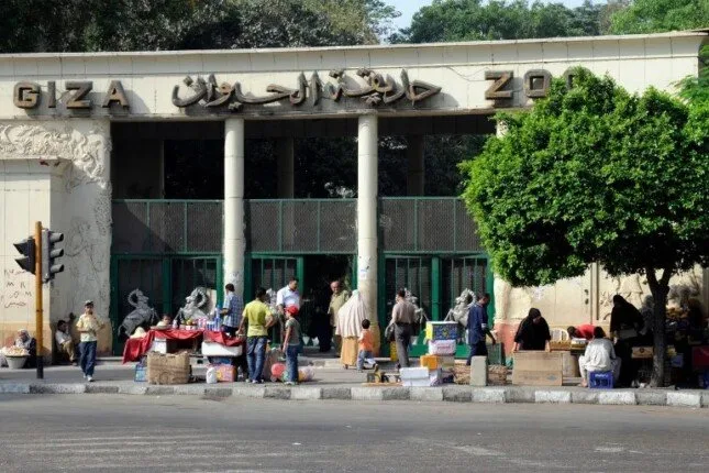 «قبل أم بعد عيد الأضحى 2025»: تاريخ افتتاح حديقة الحيوان وأسعار التذاكر «قبل أم بعد عيد الأضحى 2025»: تاريخ افتتاح حديقة الحيوان وأسعار التذاكر
