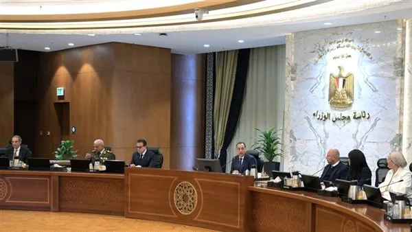 قرار حكومي حول نظام الإفراج الجمركي قرار حكومي حول نظام الإفراج الجمركي