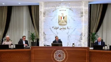 قرار مهم من الحكومة بشأن الكلاب الخطرة