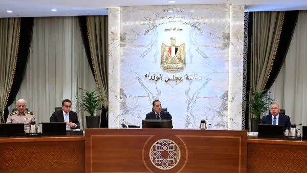 قرار مهم من الحكومة بشأن الكلاب الخطرة