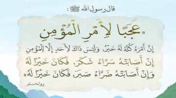 قضاء الله تعالى كله خير