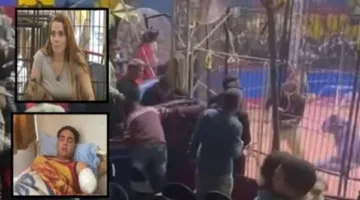 قضية عامل سيرك طنطا: أنوسة كوته تكشف خلال التحقيقات: حذرت الموظفين من الاقتراب من القفص | تقرير خاص