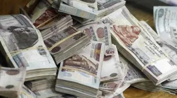 التحقيق مع ثلاثة أفراد متورطين في محاولة غسل 60 مليون جنيه من أرباح تجارة المخدرات
