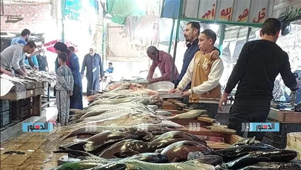 قفزة في أسعار الأسماك والمأكولات البحرية في السويس.. اعرف سعر كل نوع