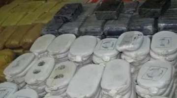 قوات الأمن في بورسعيد تطلق حملة في منطقة الزهور وتعتقل 19 شخصًا بتهم تتعلق بالمخدرات.