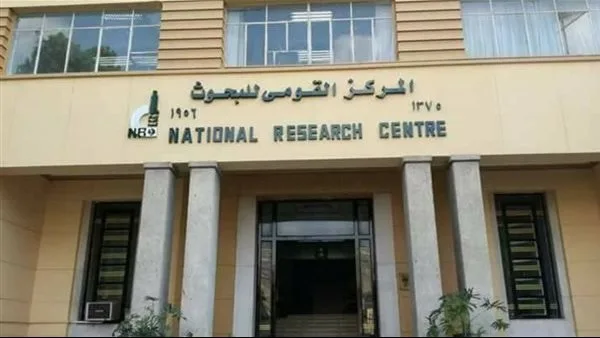 قومي البحوث: الشاي يدعم الوظائف المعرفية خلال الدراسة والامتحانات